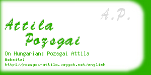 attila pozsgai business card